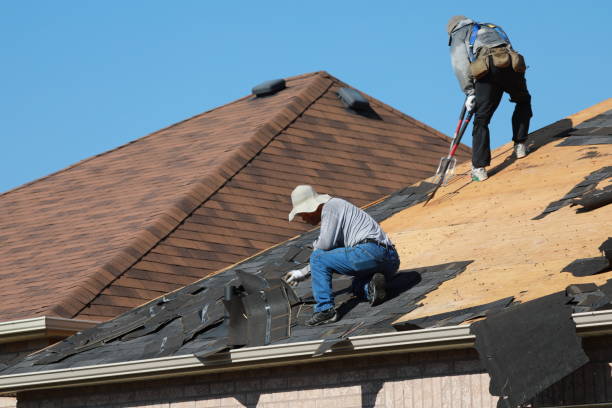 Best Steel Roofing  in Tubac, AZ